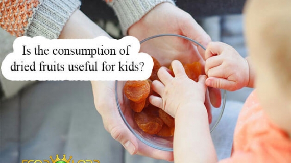 Is the consumption of dried fruits useful for kids?