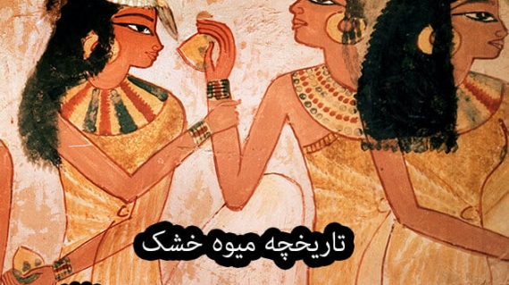 تاریخچه میوه خشک