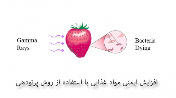 Food-safety-increase-by-irradiation-technic
