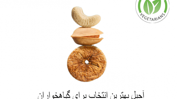 آجیل بهترین انتخاب برای گیاهخواران