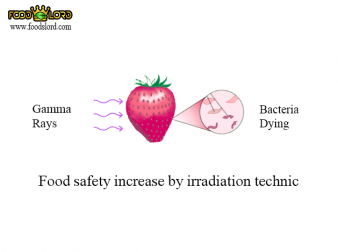 foodslord.com-Food-safety-irradiation-technic
