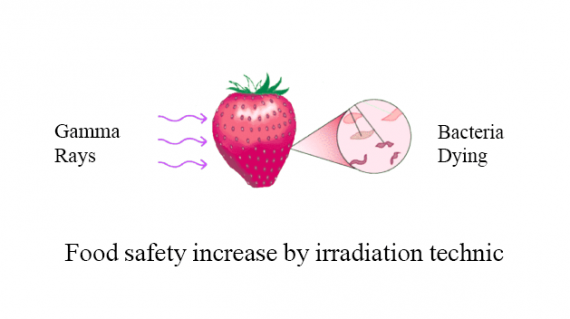 foodslord.com-Food-safety-irradiation-technic