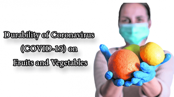 foodslord.com--Durability-of-Coronavirus-(COVID-19)-on-Fruits-and-Vegetables