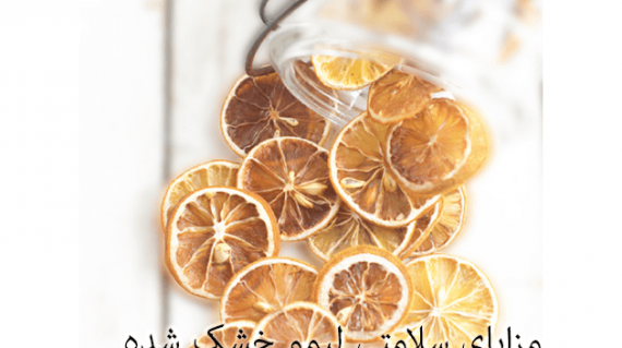 foodslord.com---Health-Benefits-of-Dried-Lemon