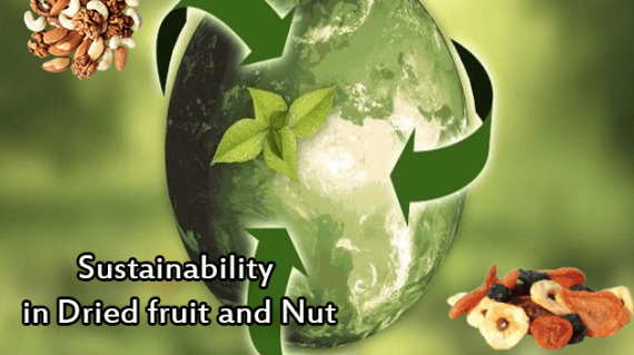 foodslord.com--Sustainability-in-dried-fruit-and-nut