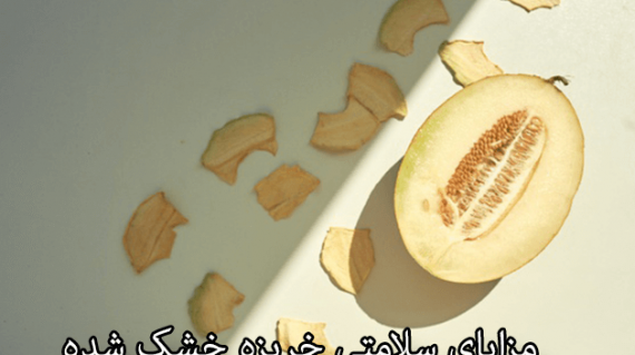 foodslord.com---مزایای-سلامتی-خربزه-خشک-شده