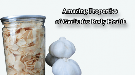 foodslord.com---Amazing-Properties-of-Garlic-for-Body-Health