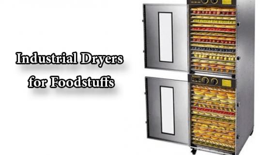 foodslord.com---Industrial-dryers-for-foodstuffs