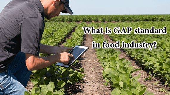 foodslord.com---What-is-GAP-standard-in-food-industry