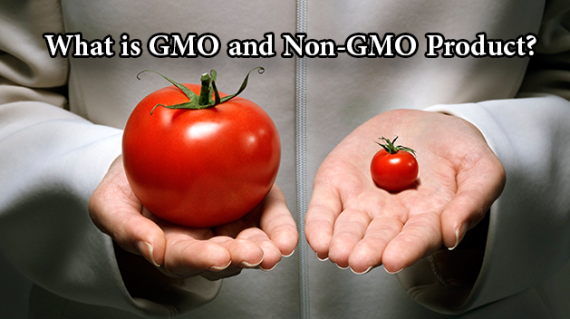 foodslord.com---What-is -GMO-and-Non-GMO-product