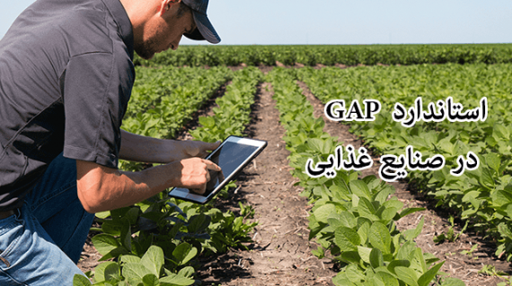 foodslord.com---استاندارد-GAP-در-صنایع-غذایی