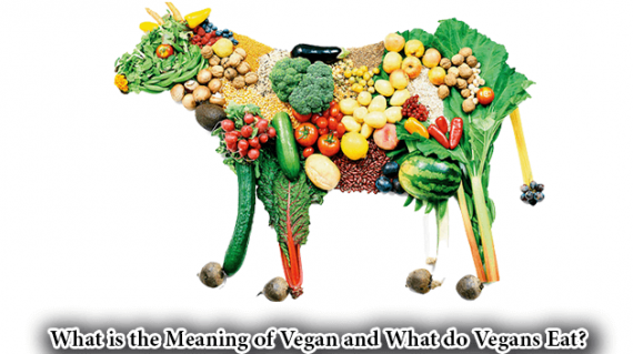 foodslord.com---What-is-the-Meaning-of-Vegan-and-What-do-Vegans-Eat