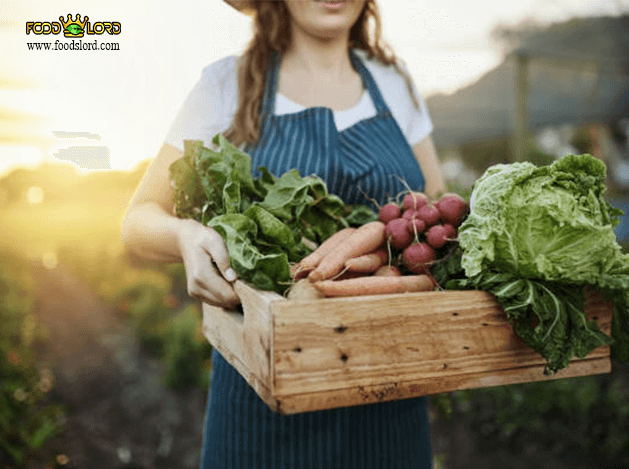 foodslord.com---میوه ارگانیک