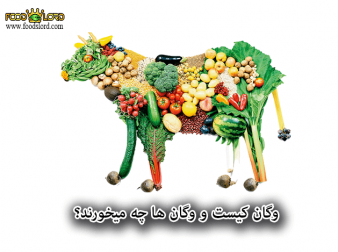foodslord.com---وگان-کیست-و-وگان-ها-چه-میخورند