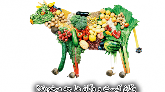 foodslord.com---وگان-کیست-و-وگان-ها-چه-میخورند
