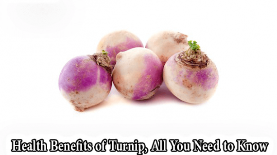 foodslord.com---Health-Benefits-of-Turnip,-All-You-Need-to-Know