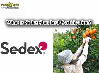 foodslord.com - What is Sedex Standard Certification