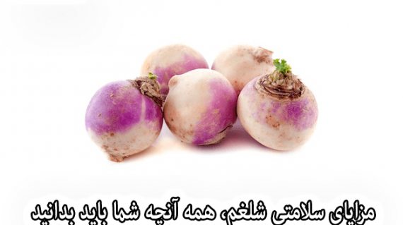foodslord.com---مزایای-سلامتی-شلغم،-همه-آنچه-شما-باید-بدانید