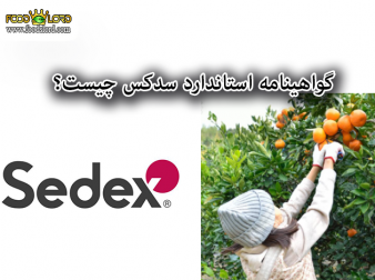 foodslord.com---گواهینامه-استاندارد-سدکس-چیست