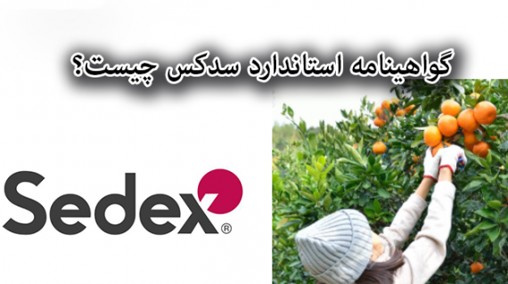 foodslord.com---گواهینامه-استاندارد-سدکس-چیست