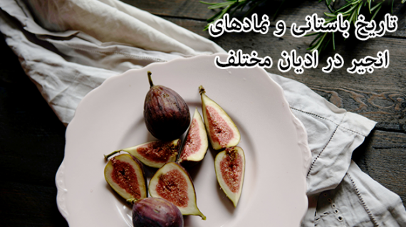 foodslord.com---تاریخ-باستانی-و-نمادهای-انجیر-در-ادیان-مختلف