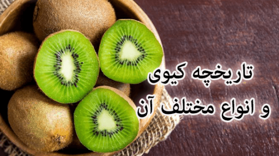 foodslord.com---تاریخچه-کیوی-و-انواع-مختلف-آن