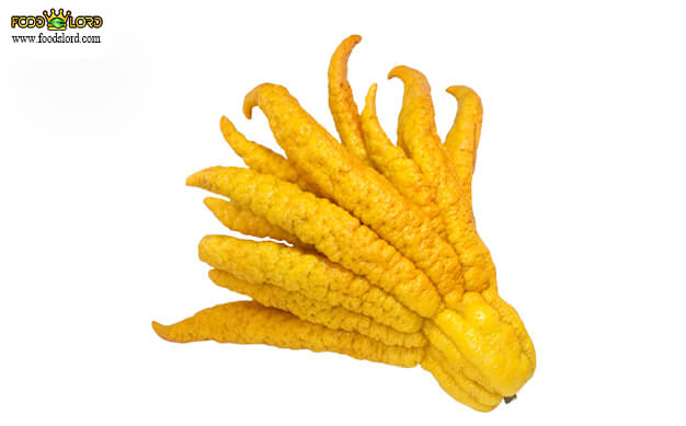 foodslord.com---دست بودا یا Finger Citron
