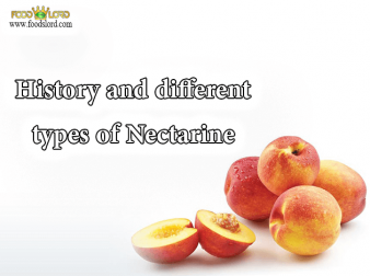 foodslord.com---History-and-different-types-of-Nectarine