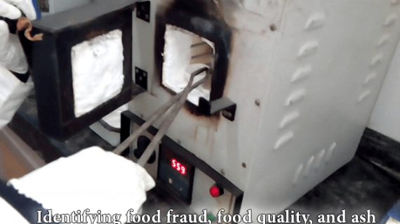 foodslord.com---Identifying-food-fraud,-food-quality,-and-ash-of-dried-fruits