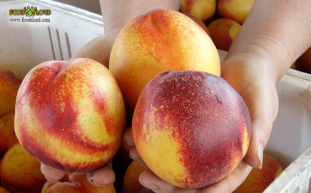 foodslord.com---شلیل Le Grand تاریخچه انواع