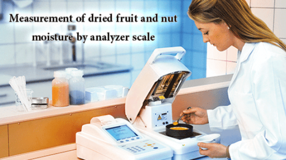 foodslord.com---Measurement-of-dried-fruit-and-nut-moisture-by-analyzer-scale