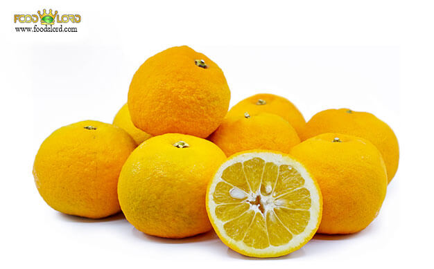 foodslord.com---Seville-orange- History types