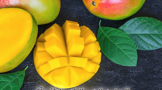 foodslord.com---تاریخچه-انبه-و-انواع-مختلف-آن
