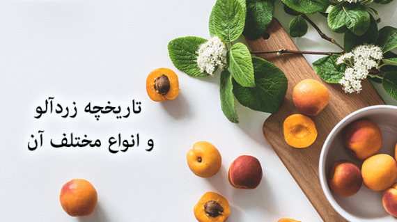 foodslord.com---تاریخچه-زردآلو-و-انواع-مختلف-آن