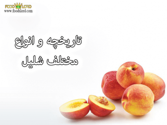 foodslord.com---تاریخچه-و-انواع-مختلف-شلیل