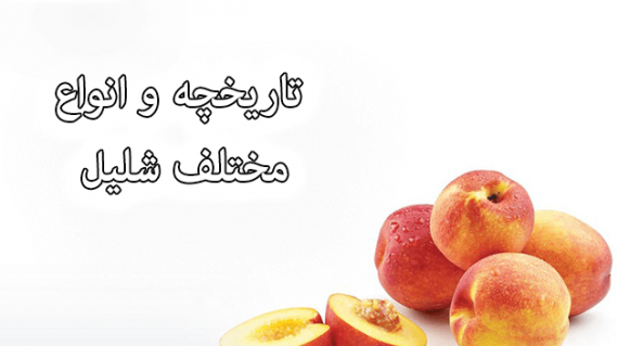 foodslord.com---تاریخچه-و-انواع-مختلف-شلیل