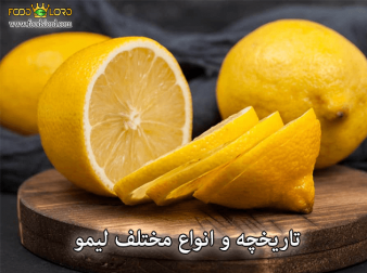 foodslord.com---تاریخچه-و-انواع-مختلف-لیمو