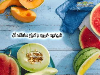 foodslord.com---تاریخچه-خربزه-و-انواع-مختلف-آن