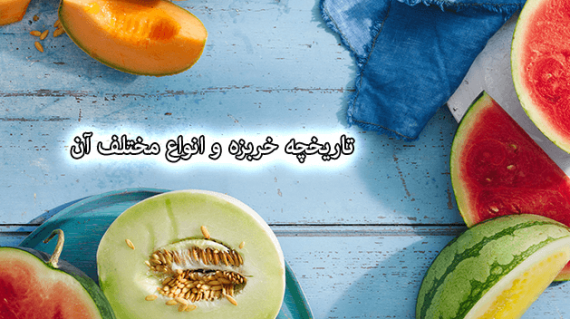foodslord.com---تاریخچه-خربزه-و-انواع-مختلف-آن