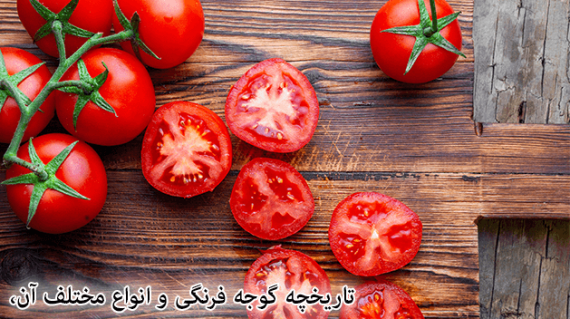 foodslord.com---تاریخچه-گوجه-فرنگی-و-انواع-مختلف-آن