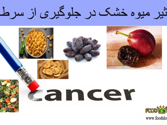 تاثیر میوه خشک در جلوگیری از سرطان