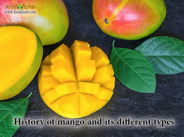 foodslord.com---History-of-mango-and-its-different-types