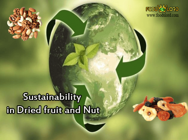 foodslord.com--Sustainability-in-dried-fruit-and-nut
