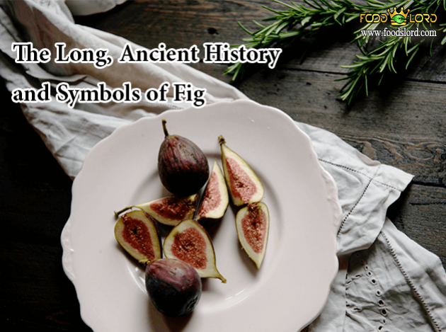 foodslord.com---The-Long,-Ancient-History-and-Symbols-of-Fig