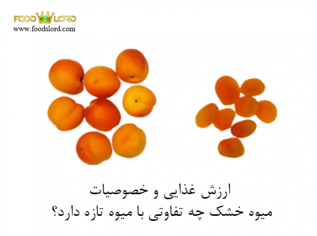 foodslord.com---ارزش-غذایی-و-خصوصیات-میوه-خشک-چه-تفاوتی-با-میوه-تازه-دارد