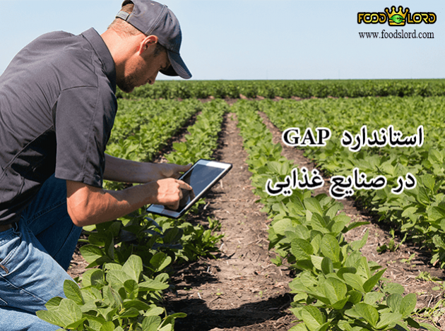 foodslord.com---استاندارد-GAP-در-صنایع-غذایی
